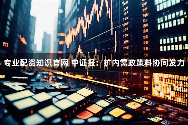 专业配资知识官网 中证报：扩内需政策料协同发力