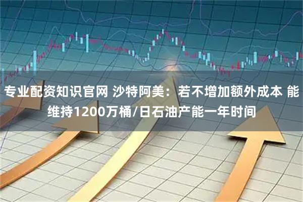 专业配资知识官网 沙特阿美：若不增加额外成本 能维持1200万桶/日石油产能一年时间