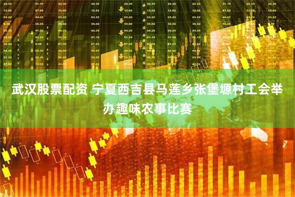 武汉股票配资 宁夏西吉县马莲乡张堡塬村工会举办趣味农事比赛