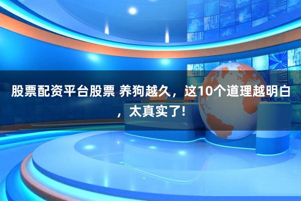 股票配资平台股票 养狗越久，这10个道理越明白，太真实了!