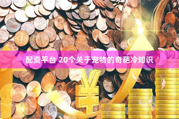 配资平台 20个关于宠物的奇葩冷知识