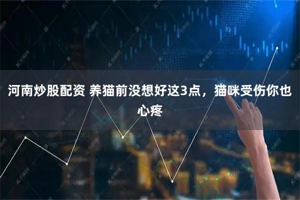河南炒股配资 养猫前没想好这3点，猫咪受伤你也心疼