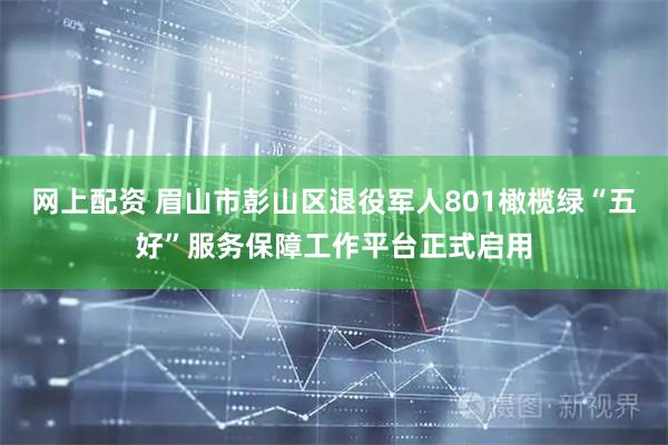 网上配资 眉山市彭山区退役军人801橄榄绿“五好”服务保障工作平台正式启用